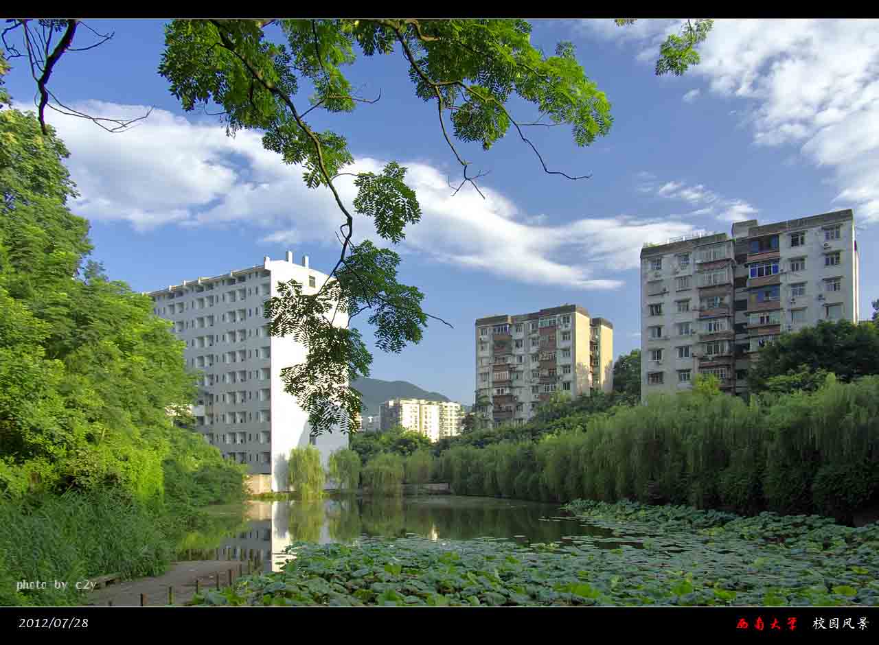 西南大学毕业证(西南大学毕业证编号查询)