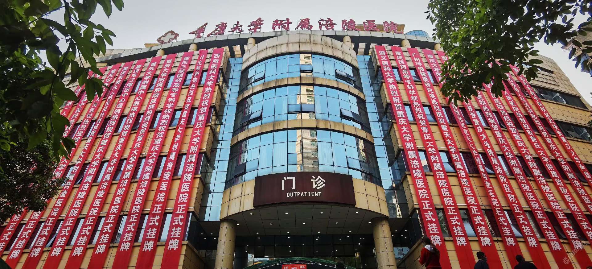 重庆大学毕业证(重庆大学毕业证查询网)