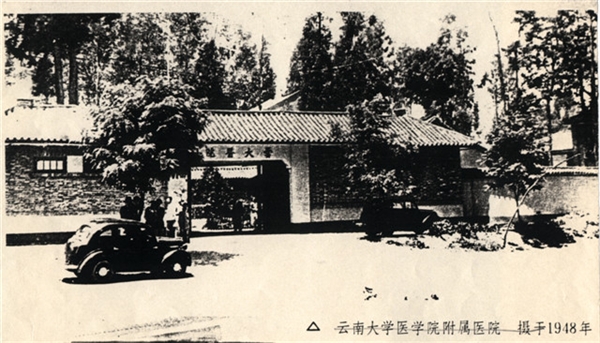 云南大学文凭(云南大学本科生)