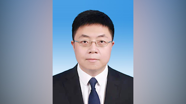 重庆大学学历证书查询