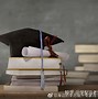 西南大学文凭查询