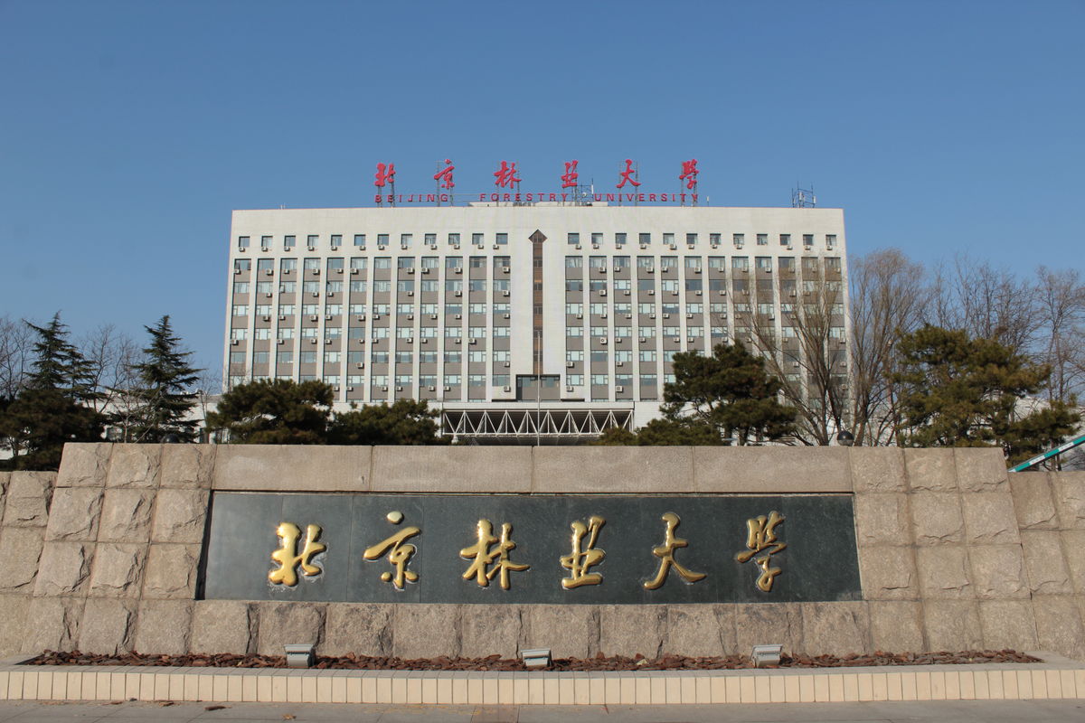 北京林业大学毕业证图片