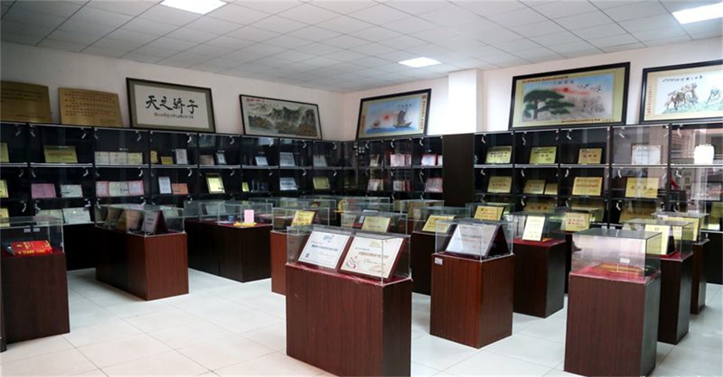 西北大学认可度怎么样