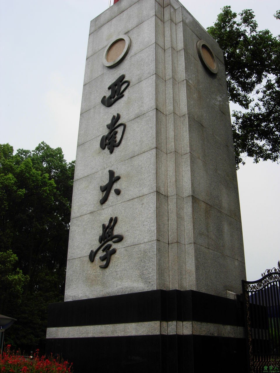 西南大学排名