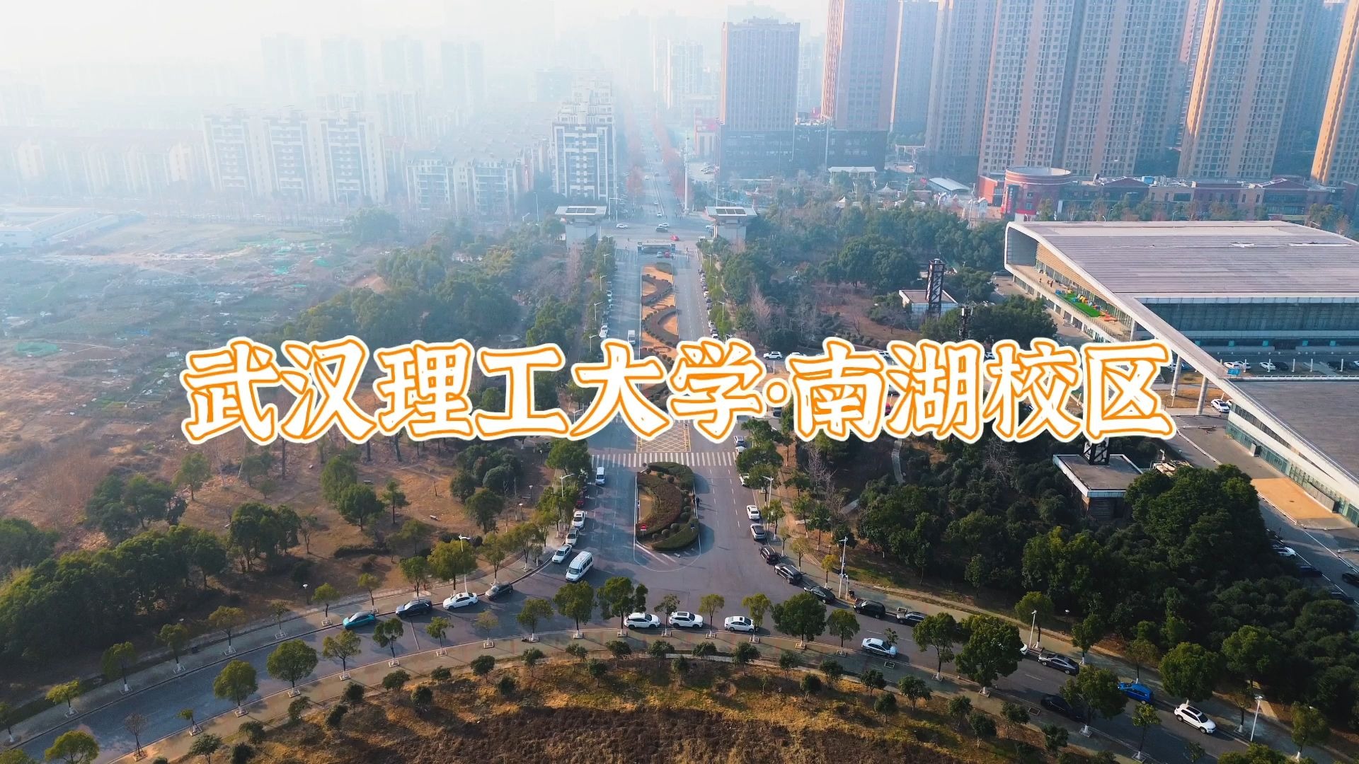 武汉理工大学中外合作办学