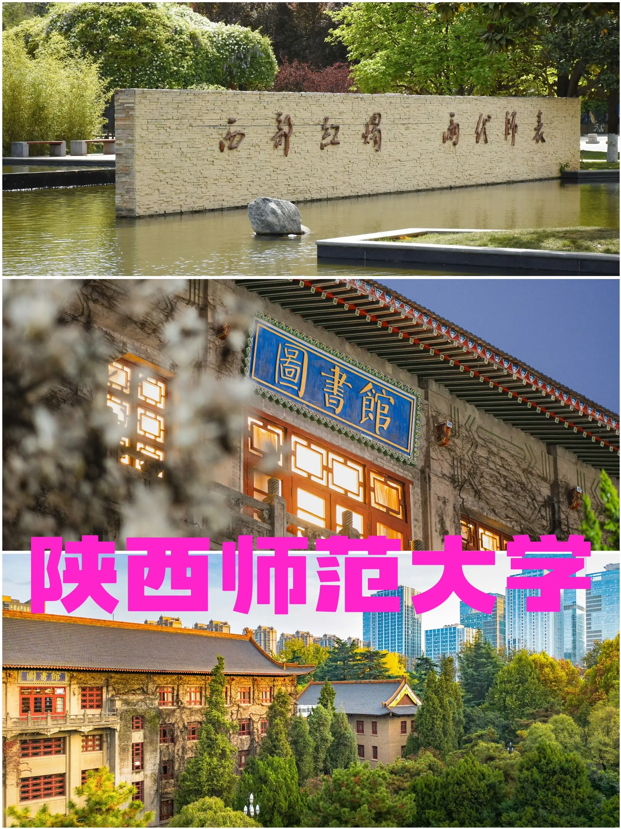 陕西师范大学排名