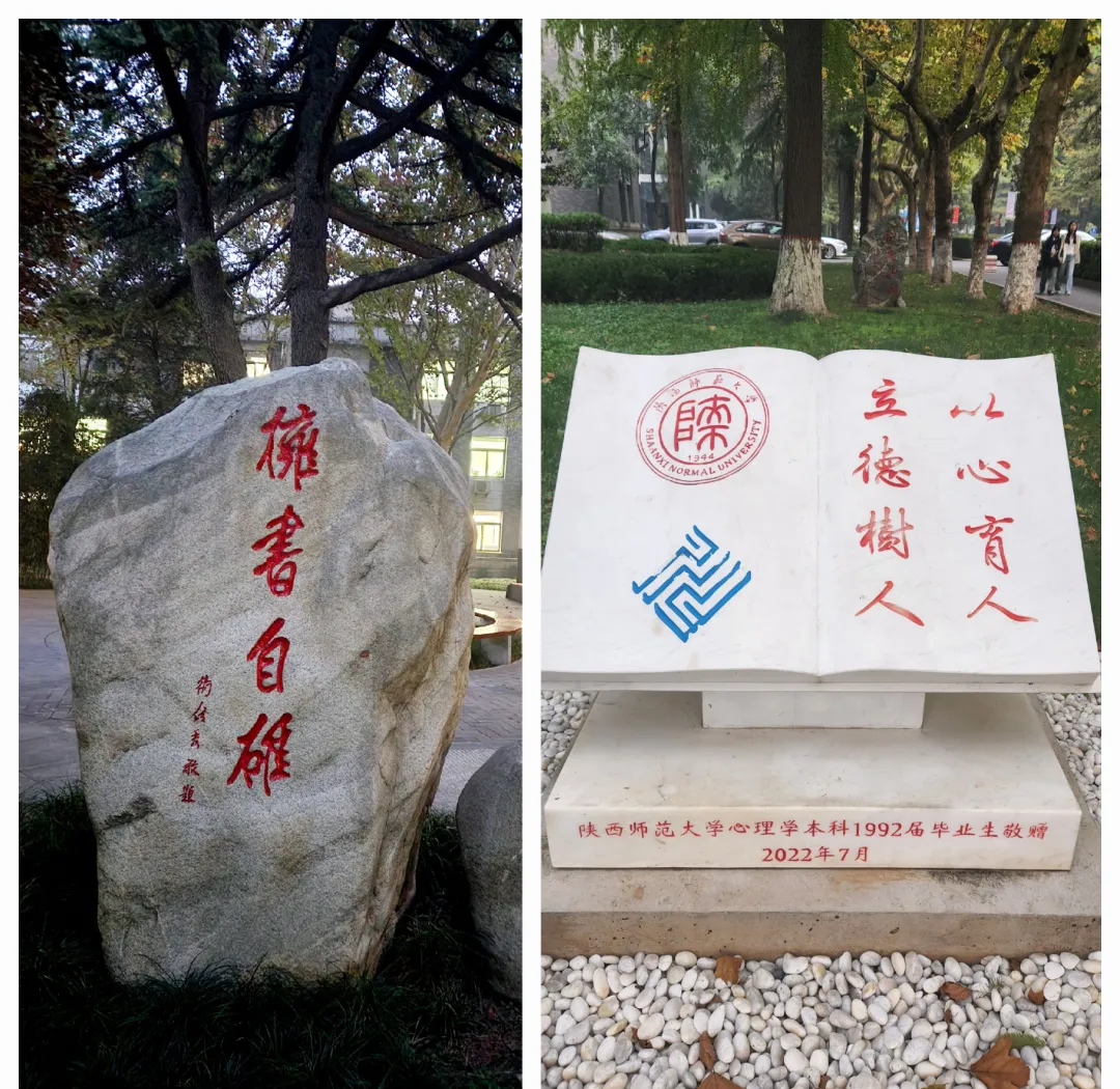 陕西师范大学排名